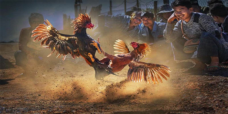 88fc xổ số bữa nay