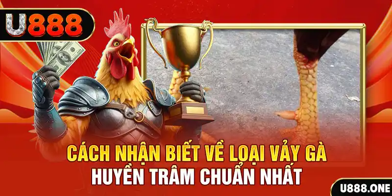 88fc đăng nhập nổ hũ số 1