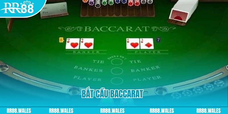 88fc what are the best online casino games