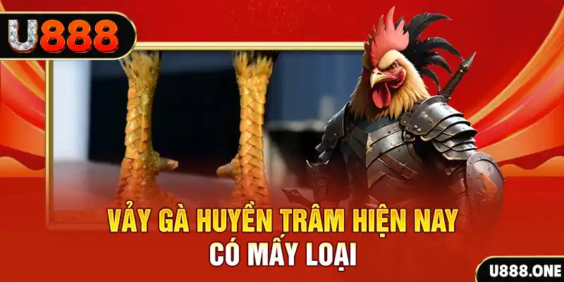 88fc xổ số bình định