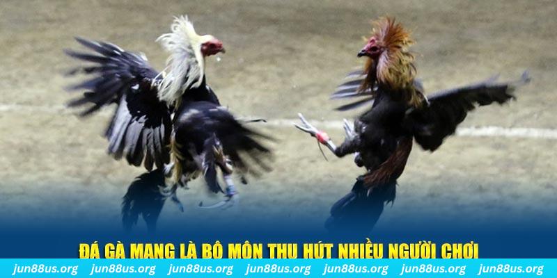 88fc nổ hủ nghĩa là gì