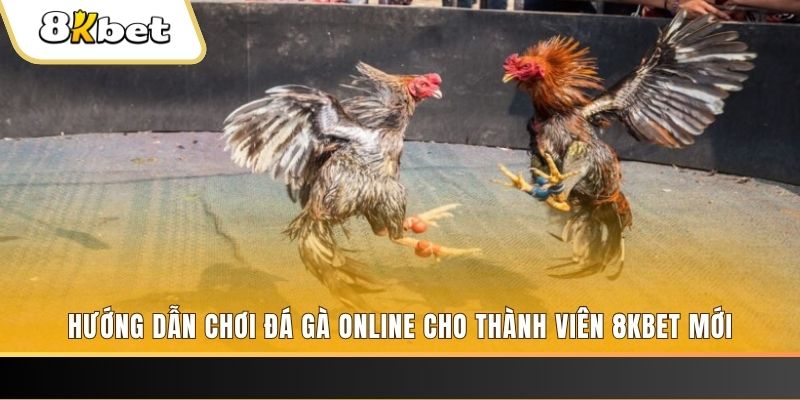 88fc JILI Game Bài 3d