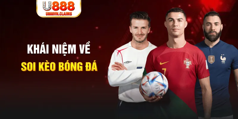 88fc xổ số cần thơ