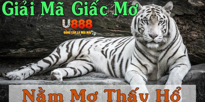 88fc xổ số miền bắc xổ số miền bắc