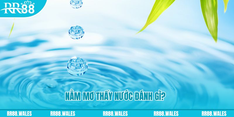 88fc TCG Xổ Số