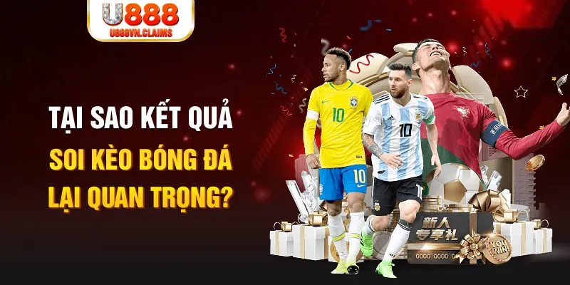 88fc Tôm Cua Cá 2