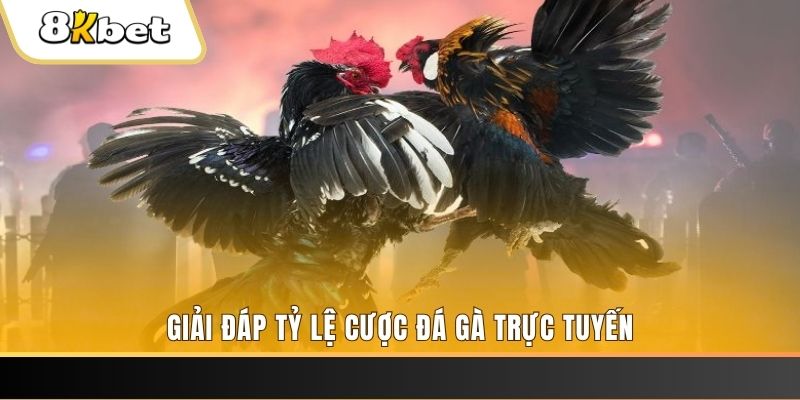 88fc ga choi cau thanh