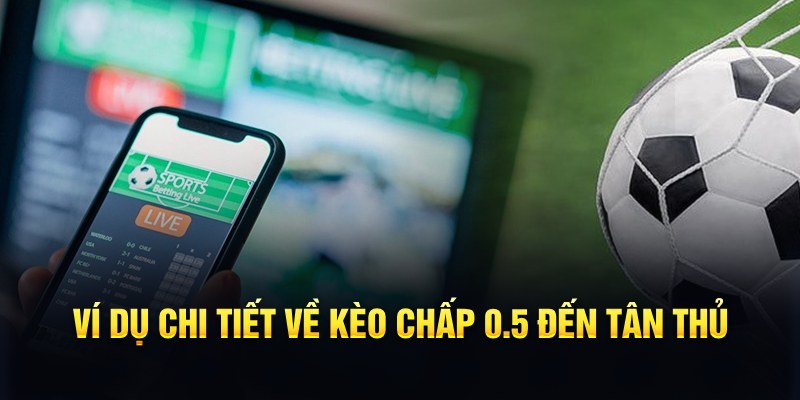 88fc RTG Game Bài 3d
