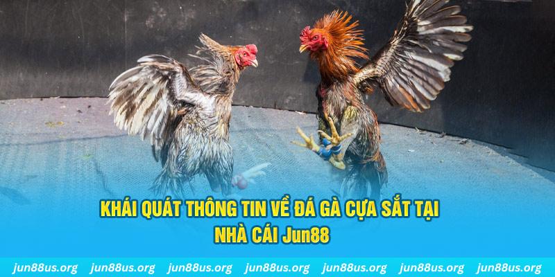 88fc xổ số miền bắc thứ bảy hàng tuần