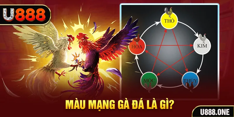 88fc xổ số miền trung thứ tư hàng tuần