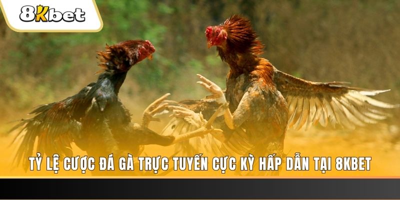 88fc đăng nhập mậu binh online