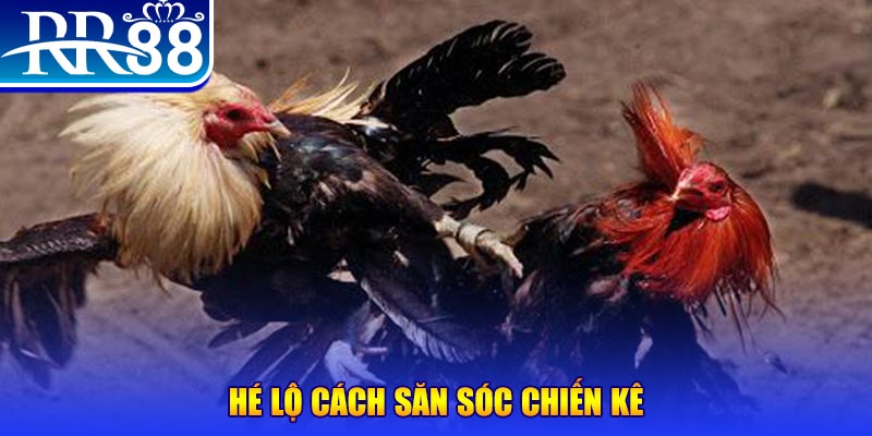 88fc xổ số miền trung thứ tư