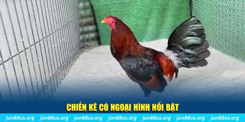 88fc game bắn cá