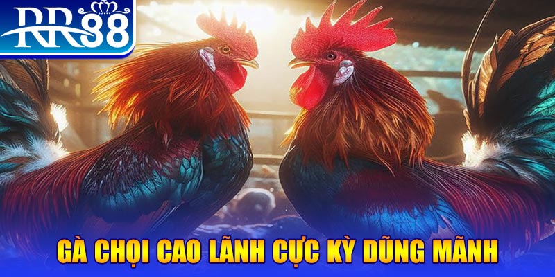 88fc HB Điện Tử